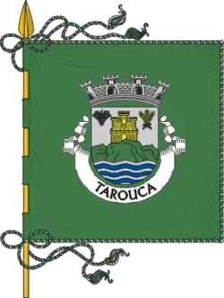 Flagge des Concelhos Tarouca