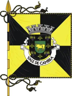 Flagge des Concelhos Vale de Cambra