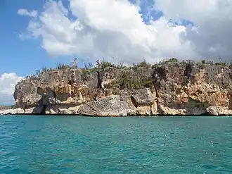Punta Águila, das Nordende der Bucht.