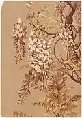 Purple Wisteria, Farblithografie, Boston Public Library, 1880/90er Jahre