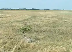 Puszta-Landschaft bei der Langen Lacke