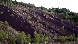 Ostflanke des Puy de la Nugère mit Pozzulane-Steinbruch