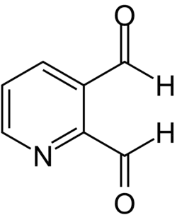 Strukturformel von Pyridin-2,3-dialdehyd