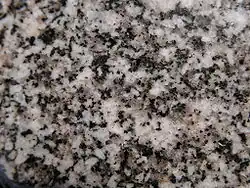 Xenomorpher Quarz (grau) in einem Gestein neben Feldspat (weiß) und mafischen Mineralen (schwarz).