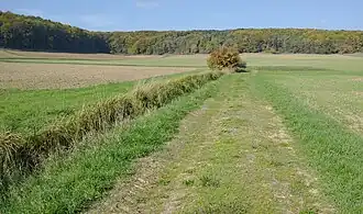 Quellgebiet des Mühlbachs