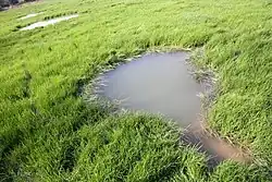 Die NNW-SSE Quell­schwemm­kegel­reihe bei Niedern­tudorf; der südlichste Kegel mit deutlich sicht­barem Abfluss.