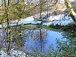 Quellteich des Berger Baches