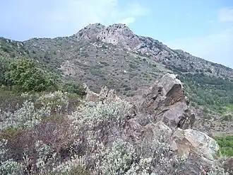 Der Puig de Querroig von Osten