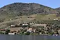 Ortsteil Senhora da Ribeira am Nordufer des Douro