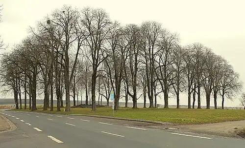 Thieplatz von Räbke am Ortsrand