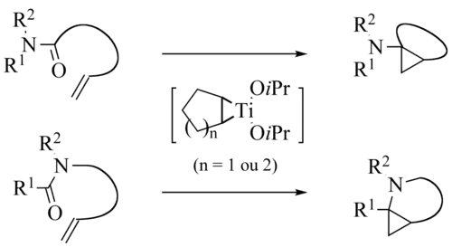 de Meijere variation intramolecular