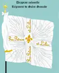 de Salis-Samade – Leibfahne