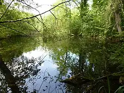 Naturschutzgebiet auf der Insel Rohrschollen
