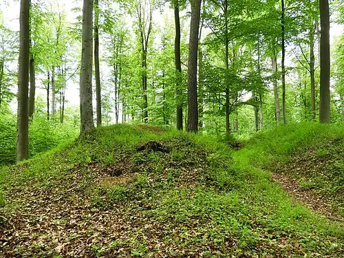 Durchgang in der Wallanlage (2017)