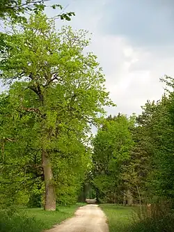 Im Forstenrieder Park