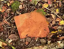 Vermutlich römischer Steinrest an der Ausgrabungsstelle