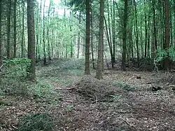 Römerlager „Alteburg“ bei Oberbrechen