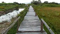 Bohlenweg für die Vogelbeobachtung am Seeufer
