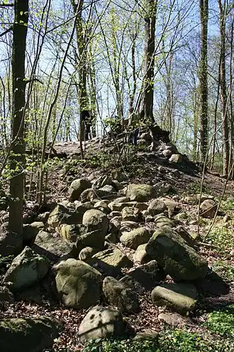 Überreste der Burg Linau