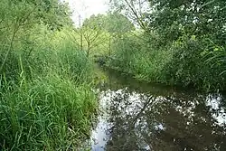 Verbindung vom Carwitzer See zum Dreetzsee