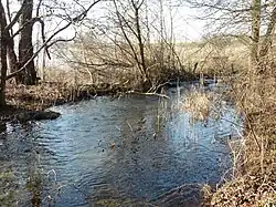 Mündung in den Kleinen Pönitzer See