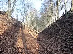 Fußweg im Dänischen Graben