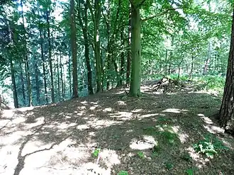 Bewaldete Kuppe des Langen Steins