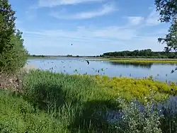 RNR de l’étang d’Amel, Blick nach Südwesten