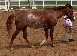 Starke bis moderate Ausprägung