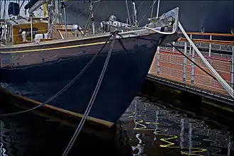 Bloodhound in Leith, 2011