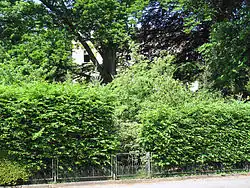 Park der Villa Hildebrandt, von der Meißner Straße aus