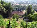 Winzerhaus, vom Berg aus
