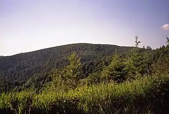 Die Radziejowa vom Mały Rogacz (Foto: The Last V8)