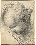 Parallelschraffur und Schummern. Raffael: Kopf eines Cherubs, um 1509