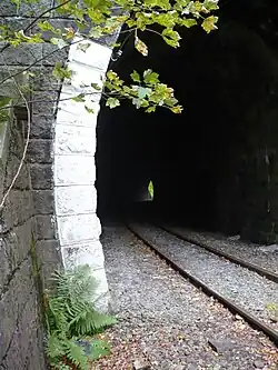 Tunnel Lewin