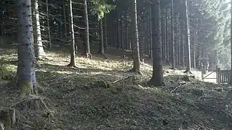 Rainer Berg Nähe höchster Punkt