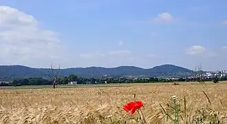 Rammert von Süden, recht Rotenberg und Rottenburg am Neckar