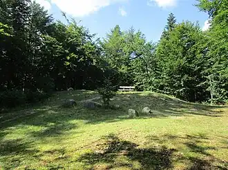 Die Rantzauhöhe (Randselbjerg) im Langenberger Wald