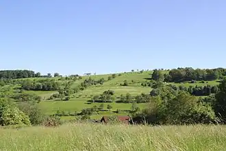 Der Steinberg (Rappacher Höhe)