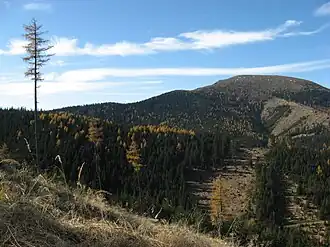 Rappoldkogel von Osten