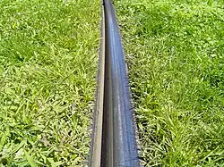 Detail: In Gras ein­ge­bet­te­te Ril­len­schie­ne