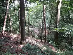 Kerbtal des Landsberger Grabens im NSG