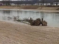 Bei der Renaturierung der Isar werden auch Raubäume eingebaut, wie hier bei Dingolfing