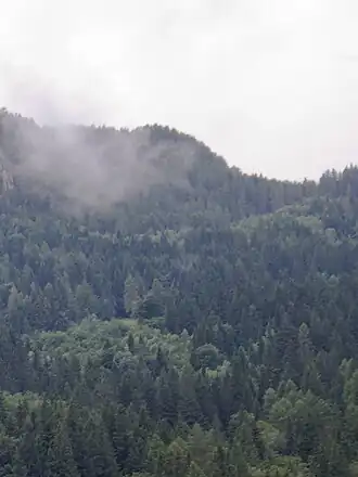 Blick von Dorfgastein auf das Rauchkögerl