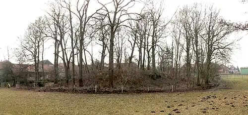 Burghügel der Burg Rautenberg in Rautenberg