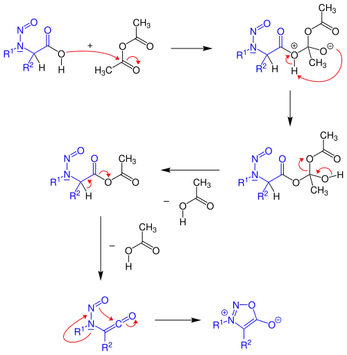 Reaktionsmechanismus der Baker-Ollis-Sydnon-Synthese