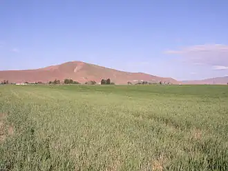 Der Red Mountain von Osten (2007)