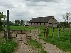 Extensive Viehhaltung