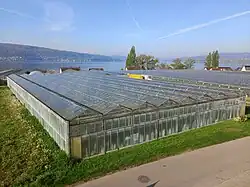 Gewächshäuser in Niederzell
