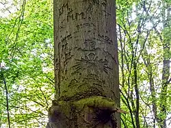 Reichsadler, von dem vermutet wird, dass er während des Matrosenaufstands eingeritzt wurde.[9]